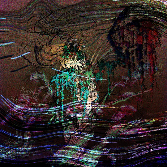 D3c4y D3c4y